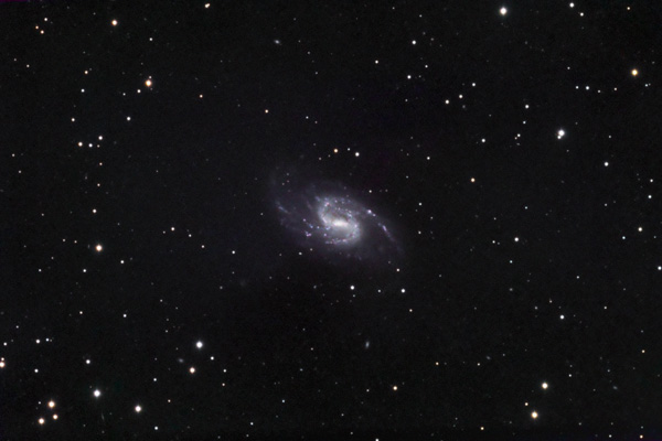 NGC 3359